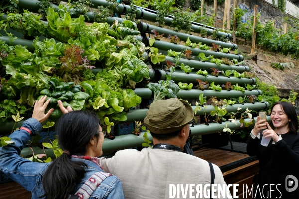 La fete aux jardins participatif du Ruisseau le long de la petite ceinture dans le 18 eme arrondissement