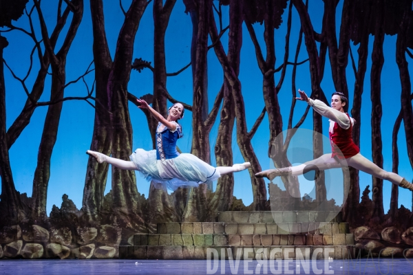 Giselle / Alicia Alonso / ballet national de Cuba