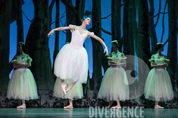 Giselle / Alicia Alonso / ballet national de Cuba