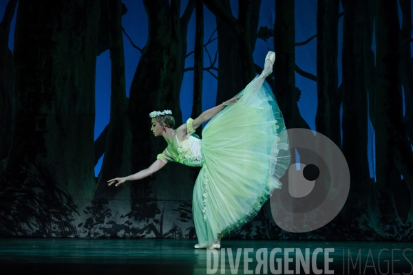 Giselle / Alicia Alonso / ballet national de Cuba