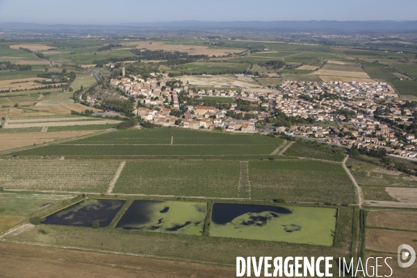 Etang de Montady