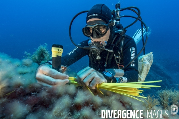 Mise en place de sondes de température