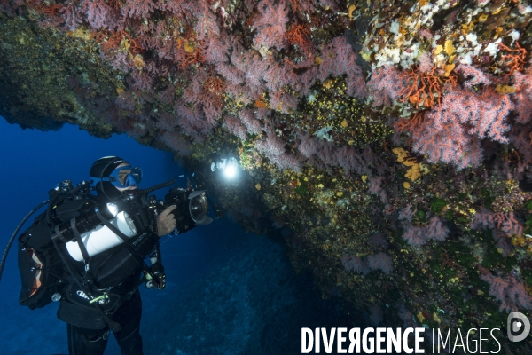 Photogramétrie sur le Corail rouge