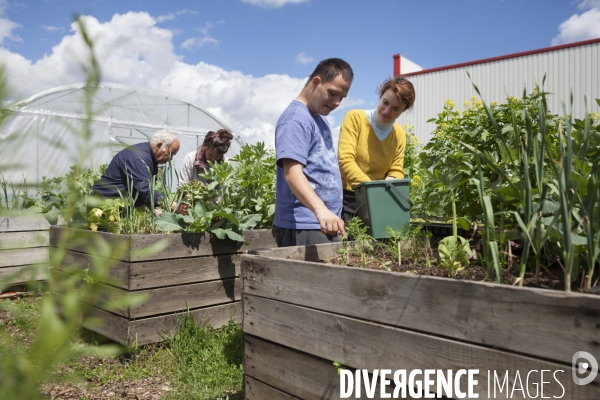 Occupation temporaire de territoire / Le Paysan Urbain / Agriculture urbaine à Romainville