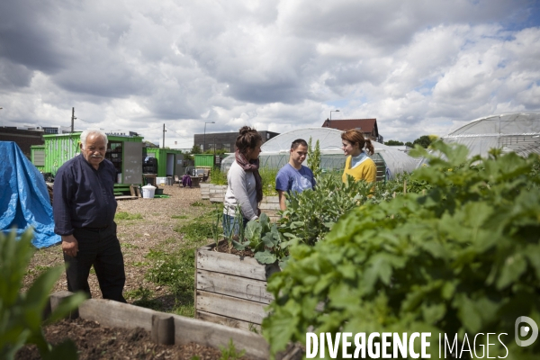 Occupation temporaire de territoire / Le Paysan Urbain / Agriculture urbaine à Romainville