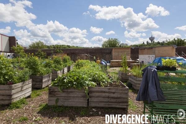 Occupation temporaire de territoire / Le Paysan Urbain / Agriculture urbaine à Romainville