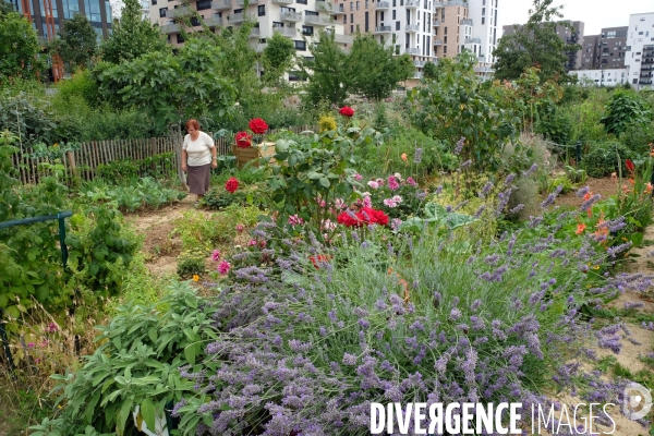 Le Grand Parc dans le nouveau quartier des docks de saint Ouen