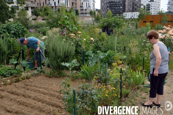 Le Grand Parc dans le nouveau quartier des docks de saint Ouen