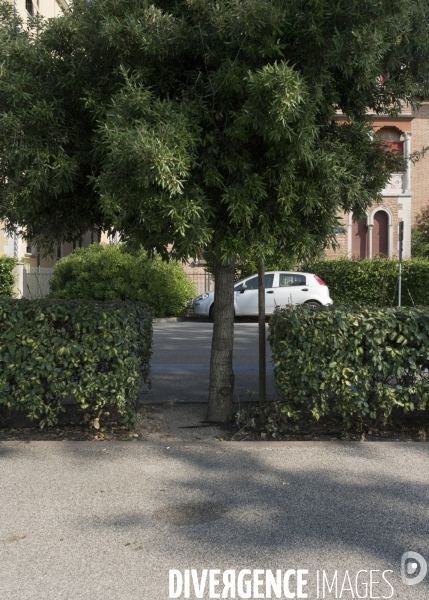 Shortcut(s), Venise, 2017.