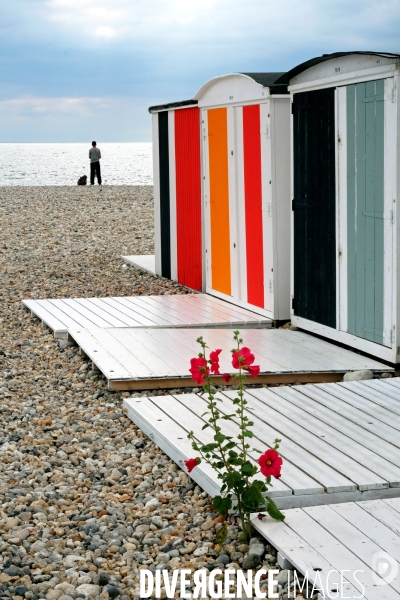 Un ete au Havre.Installations artistiques dans la ville a l occasion du 500 eme anniversaire de sa fondation