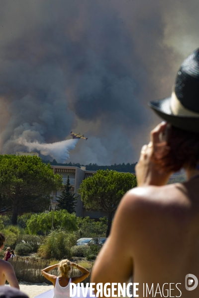 Incendie de Bormes les mimosas (