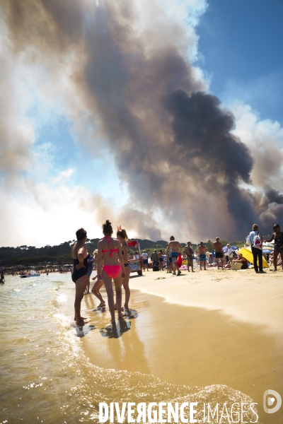 Incendie de Bormes les mimosas (