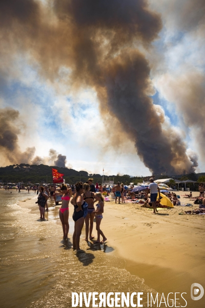 Incendie de Bormes les mimosas (