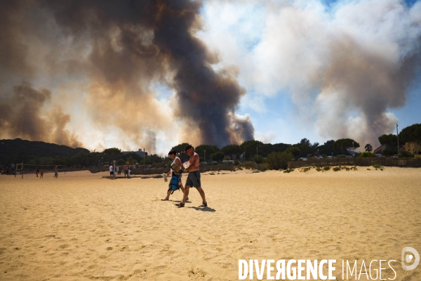 Incendie de Bormes les mimosas (