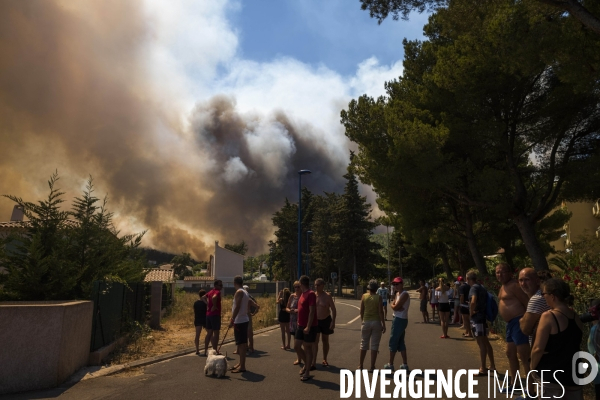 Incendie de Bormes les mimosas (