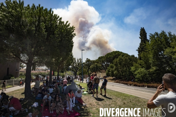 Incendie de Bormes les mimosas (