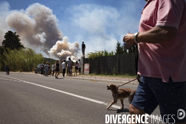 Incendie de Bormes les mimosas (