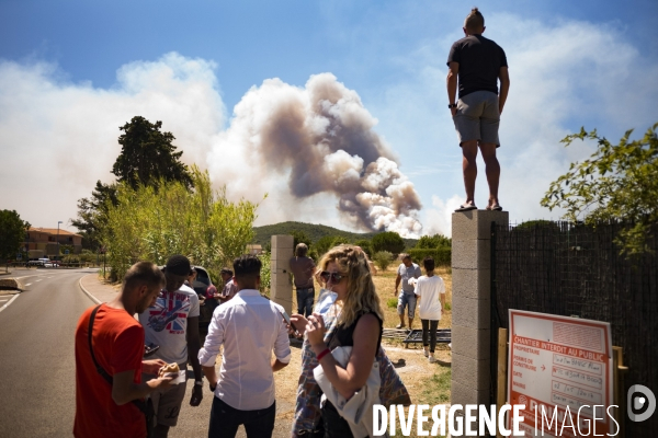 Incendie de Bormes les mimosas (