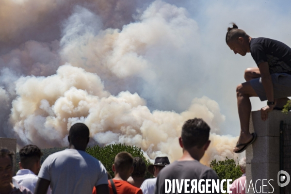 Incendie de Bormes les mimosas (