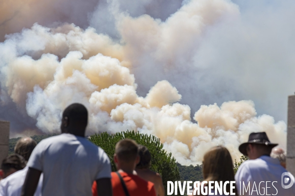 Incendie de Bormes les mimosas (