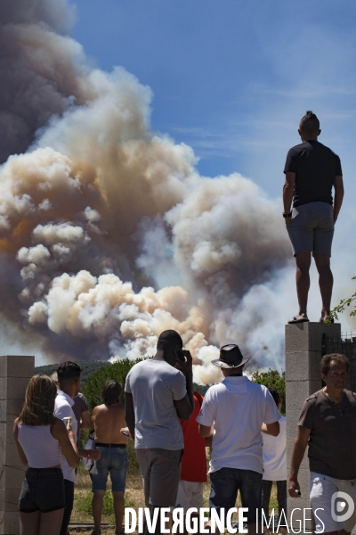 Incendie de Bormes les mimosas (