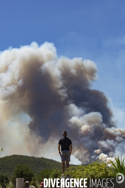 Incendie de Bormes les mimosas (