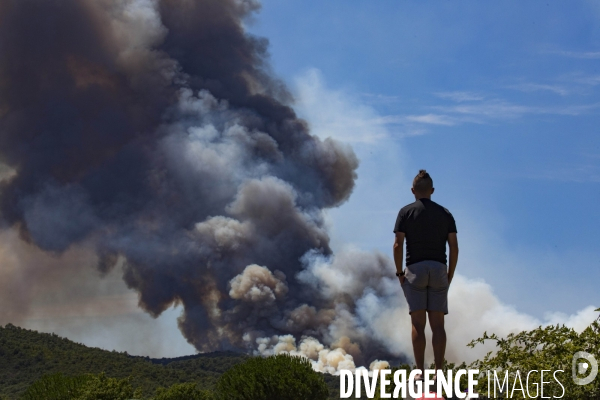 Incendie de Bormes les mimosas (