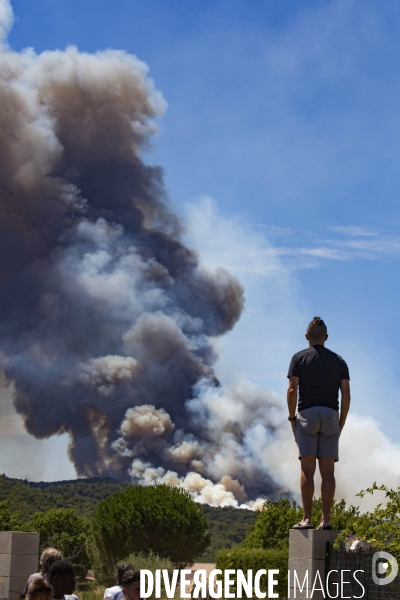 Incendie de Bormes les mimosas (