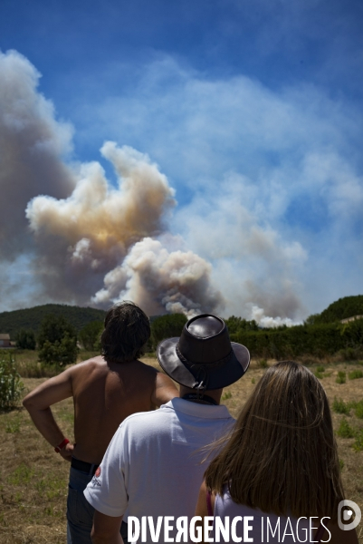 Incendie de Bormes les mimosas (