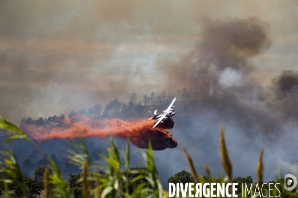 Incendie de Bormes les mimosas (