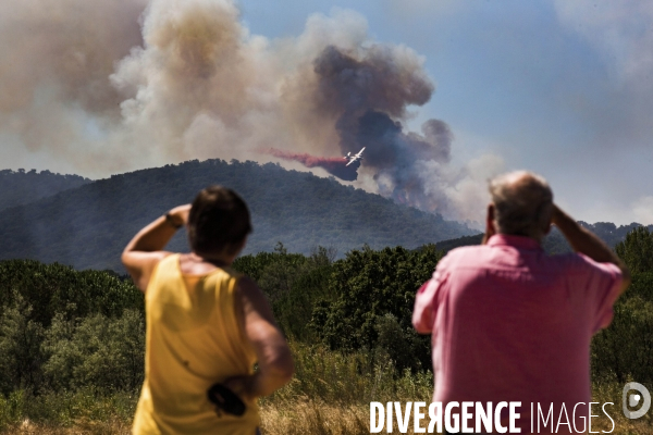 Incendie de Bormes les mimosas (