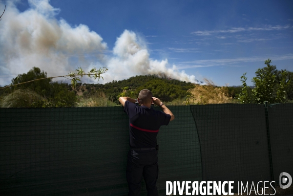 Incendie de Bormes les mimosas (