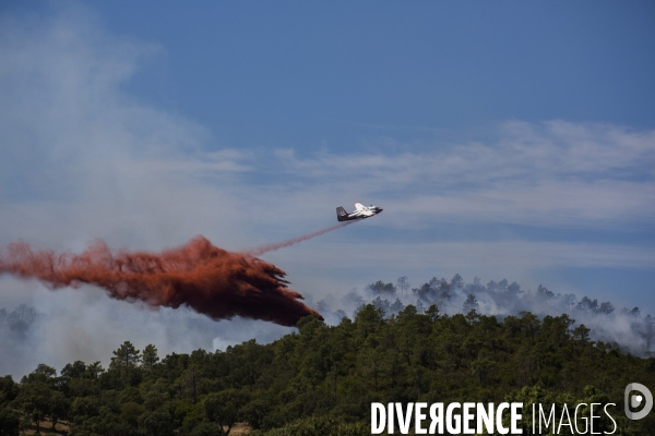 Incendie de Bormes les mimosas (