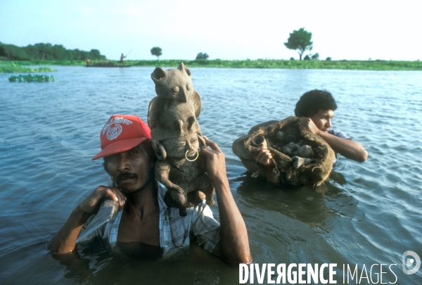 COLOMBIE : Huaqueros, les pilleurs de tombes de l  El Dorado.