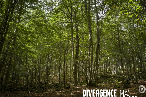 Montagnes d Ariege été 2017