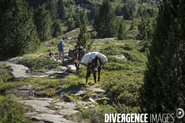 Montagnes d Ariege été 2017