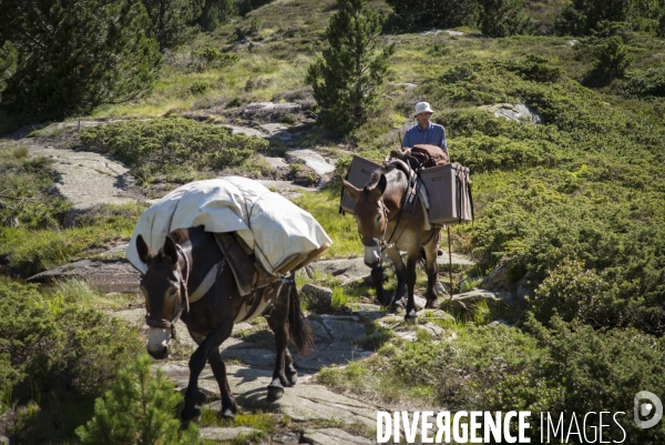 Montagnes d Ariege été 2017