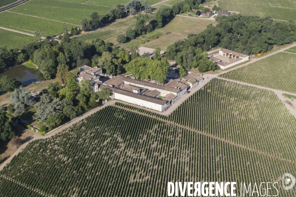 Saint-Emilion, au dessus des grands châteaux