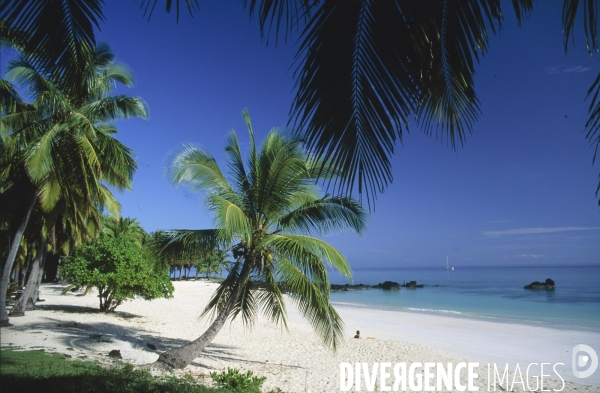 Archipel des COMORES : Plages de N gazidja