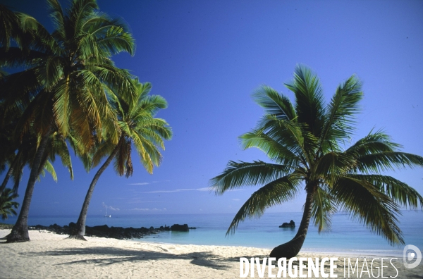 Archipel des COMORES : Plages de N gazidja