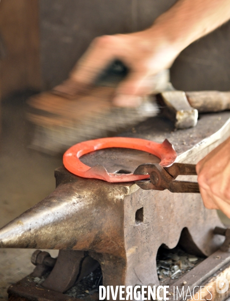 Animaux : un maréchal-ferrant ferre les chevaux. Animals: a blacksmith with horse.