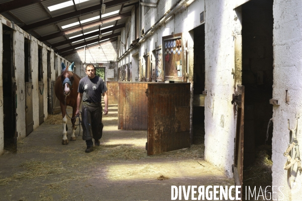 Animaux : un maréchal-ferrant ferre les chevaux. Animals: a blacksmith with horse.