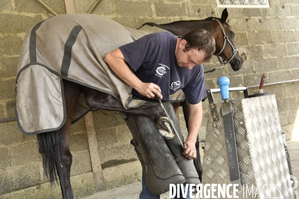 Animaux : un maréchal-ferrant ferre les chevaux. Animals: a blacksmith with horse.