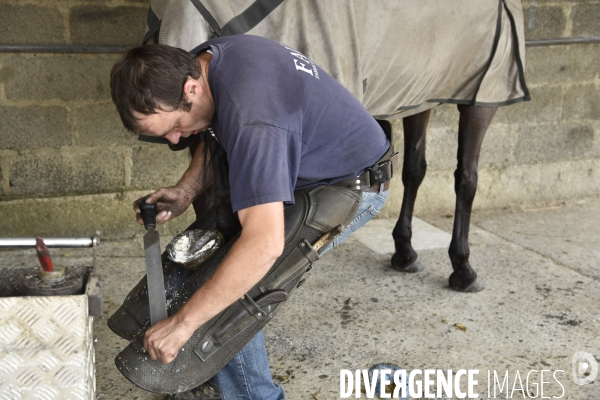 Animaux : un maréchal-ferrant ferre les chevaux. Animals: a blacksmith with horse.