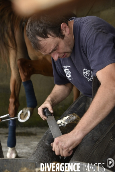 Animaux : un maréchal-ferrant ferre les chevaux. Animals: a blacksmith with horse.