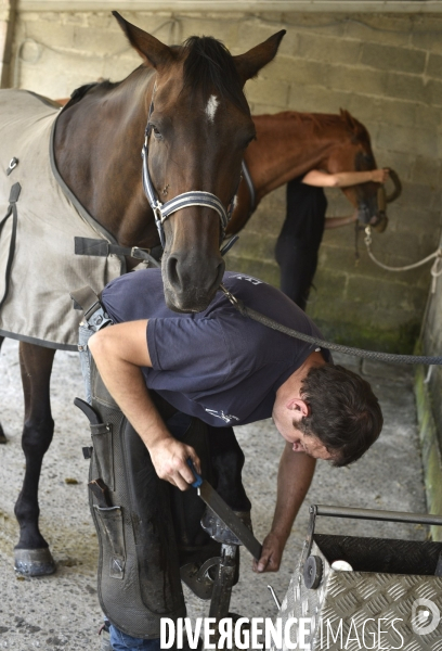 Animaux : un maréchal-ferrant ferre les chevaux. Animals: a blacksmith with horse.