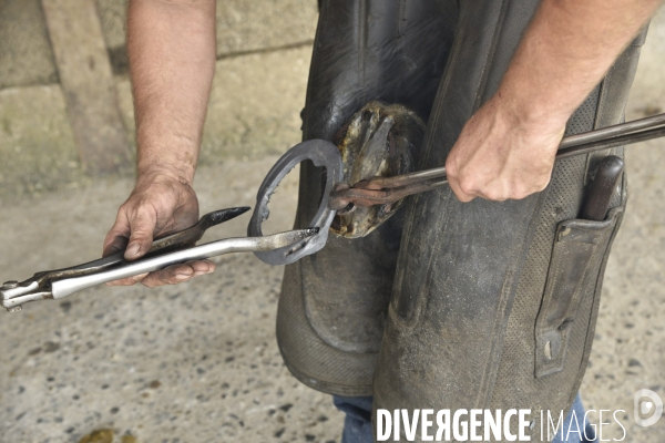 Animaux : un maréchal-ferrant ferre les chevaux. Animals: a blacksmith with horse.