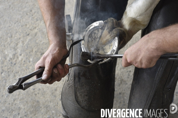 Animaux : un maréchal-ferrant ferre les chevaux. Animals: a blacksmith with horse.