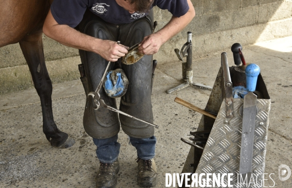 Animaux : un maréchal-ferrant ferre les chevaux. Animals: a blacksmith with horse.