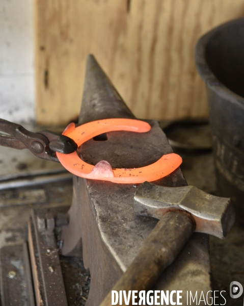 Animaux : un maréchal-ferrant ferre les chevaux. Animals: a blacksmith with horse.